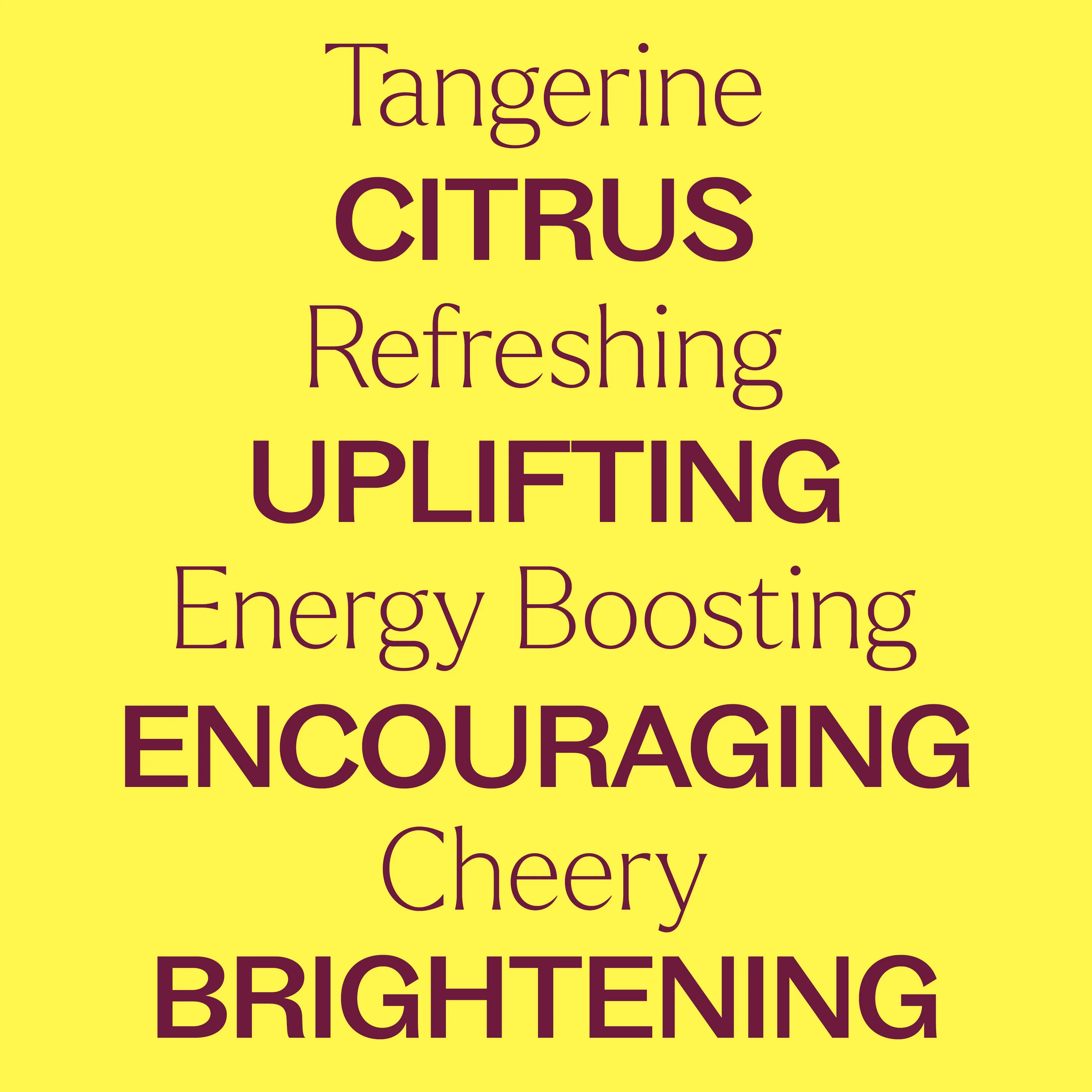 Tangerine Essential Oil - Image 5