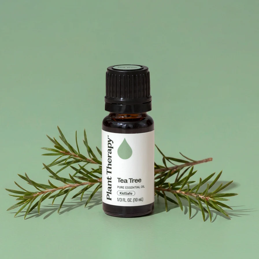Tea Tree Essential Oil - Image 2
