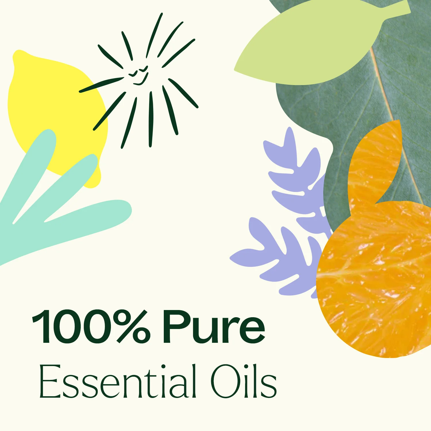 Top 6 Everyday Oils Bundle - Image 10