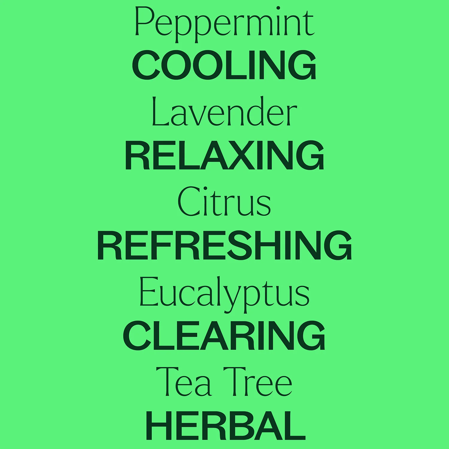 Top 6 Everyday Oils Bundle - Image 11