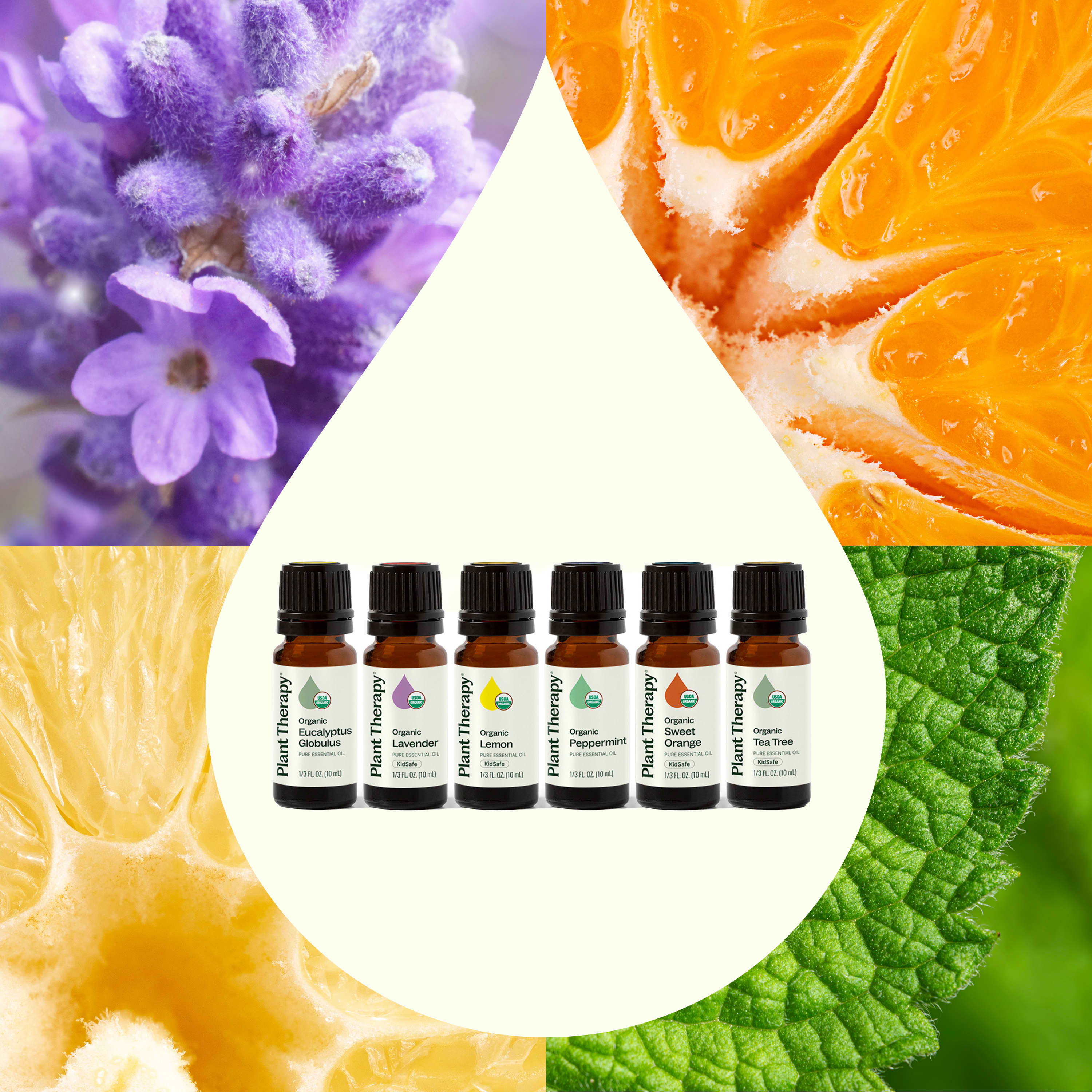 Top 6 Organic Singles Essential Oil Set - Image 2