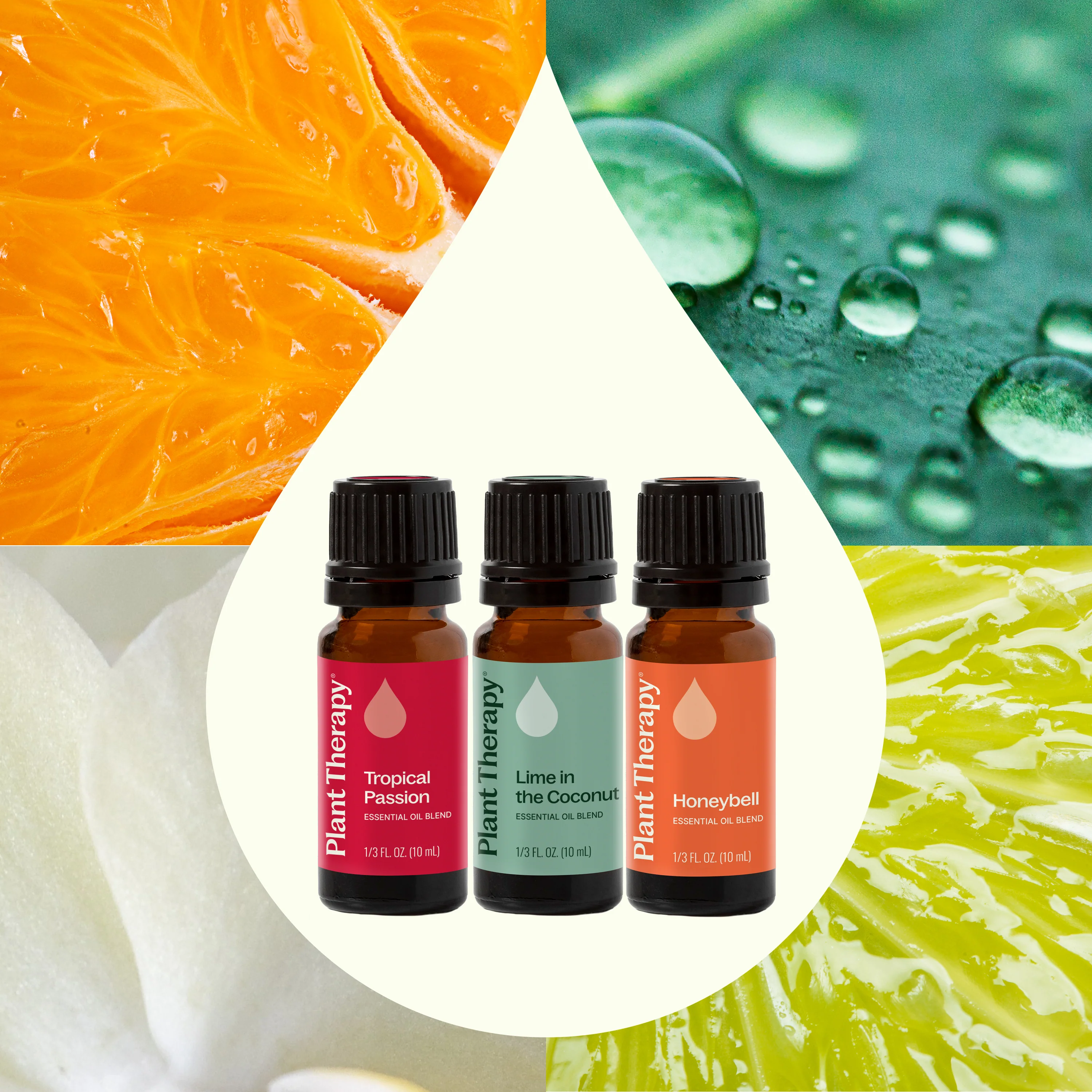 Tropical Scents Home Set - Image 3