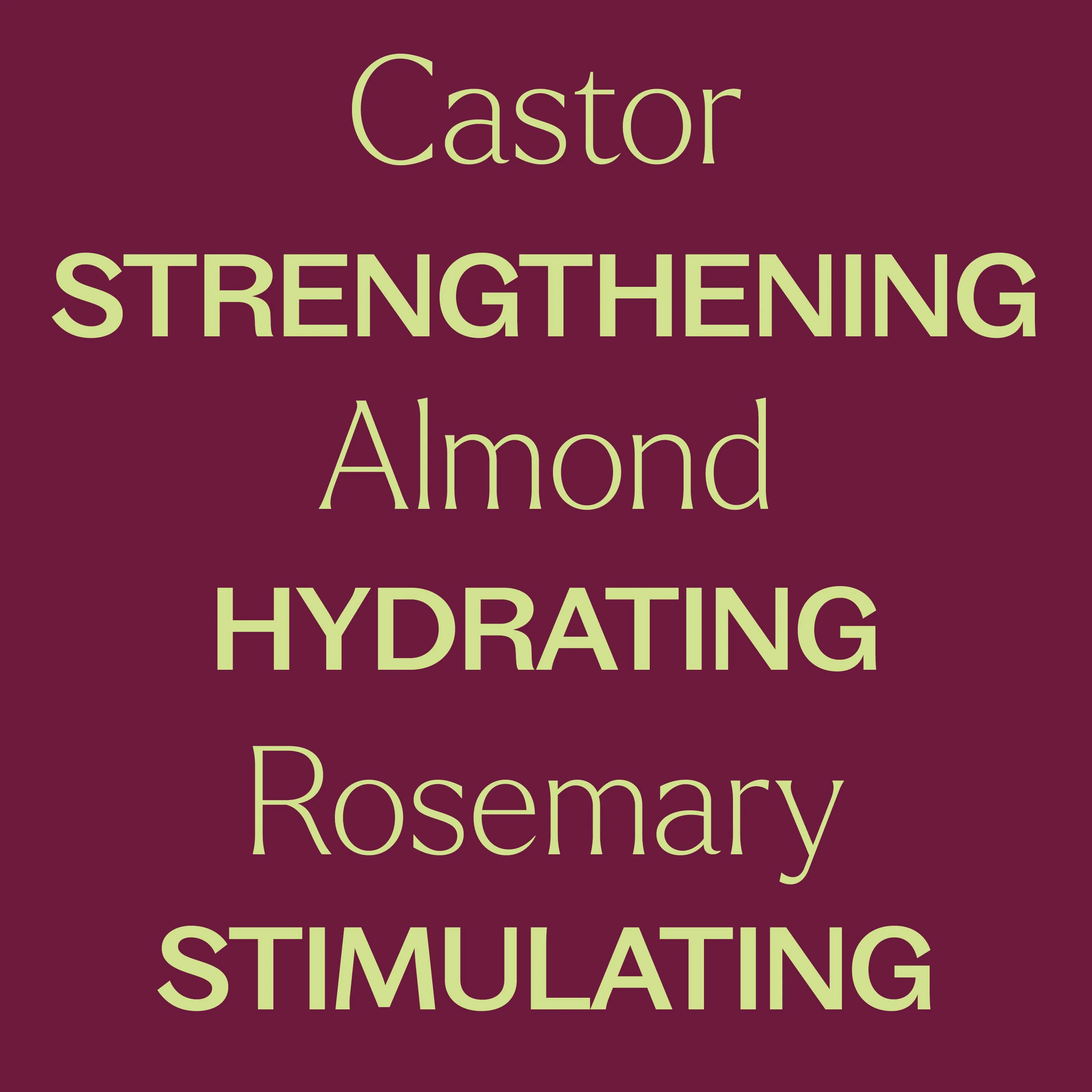 Rosemary & Castor Hair Oil - Image 4