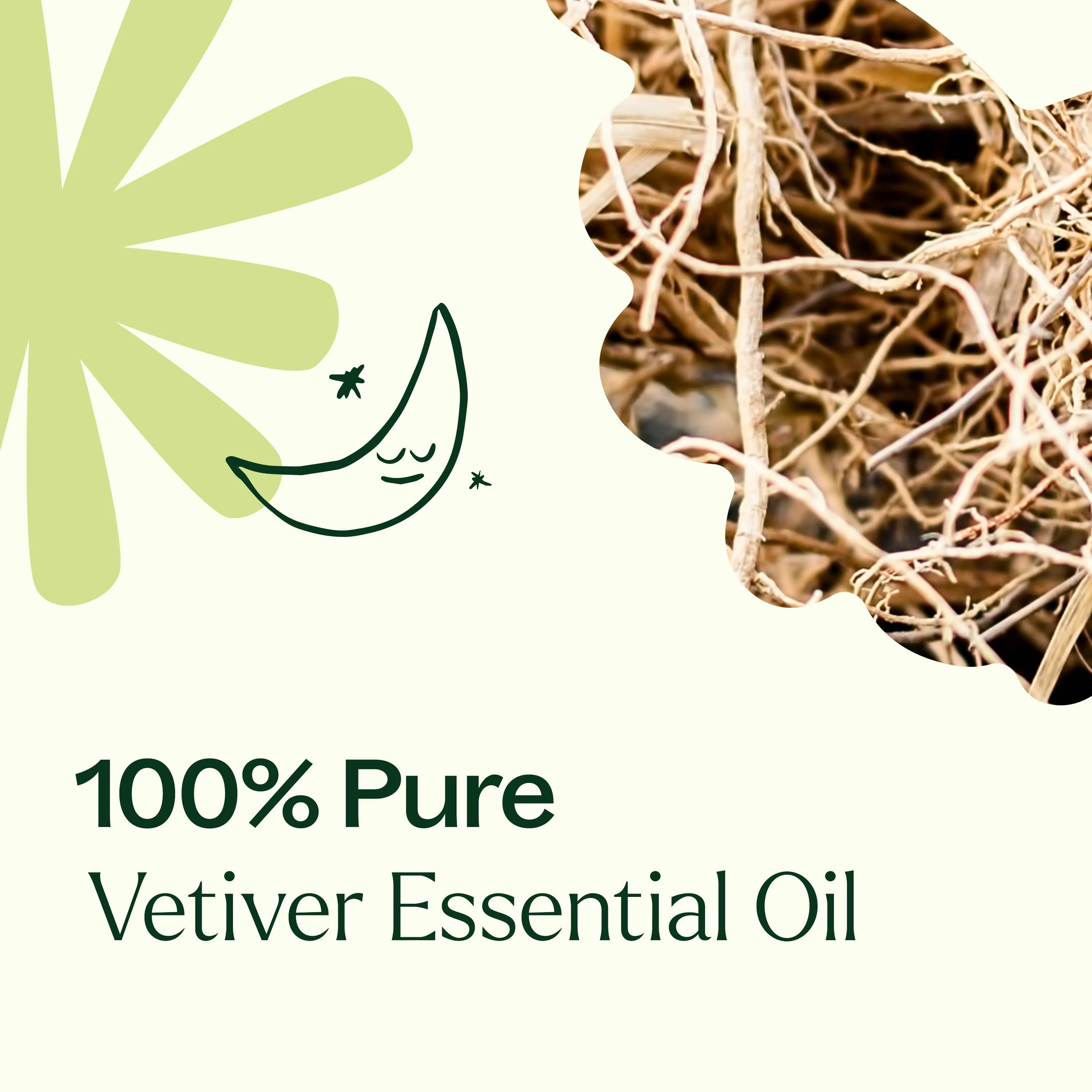 Vetiver Essential Oil - Image 3