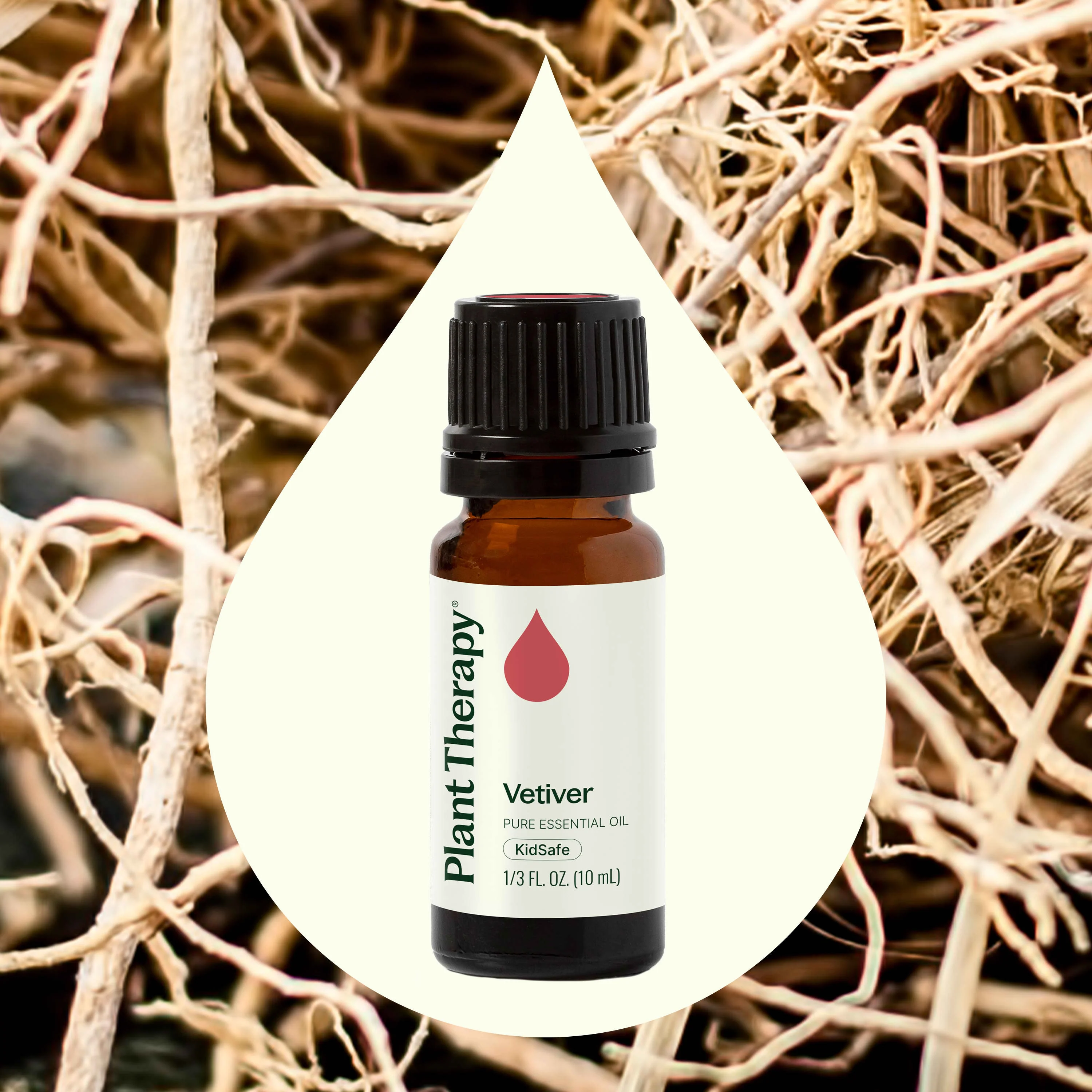 Vetiver Essential Oil - Image 6