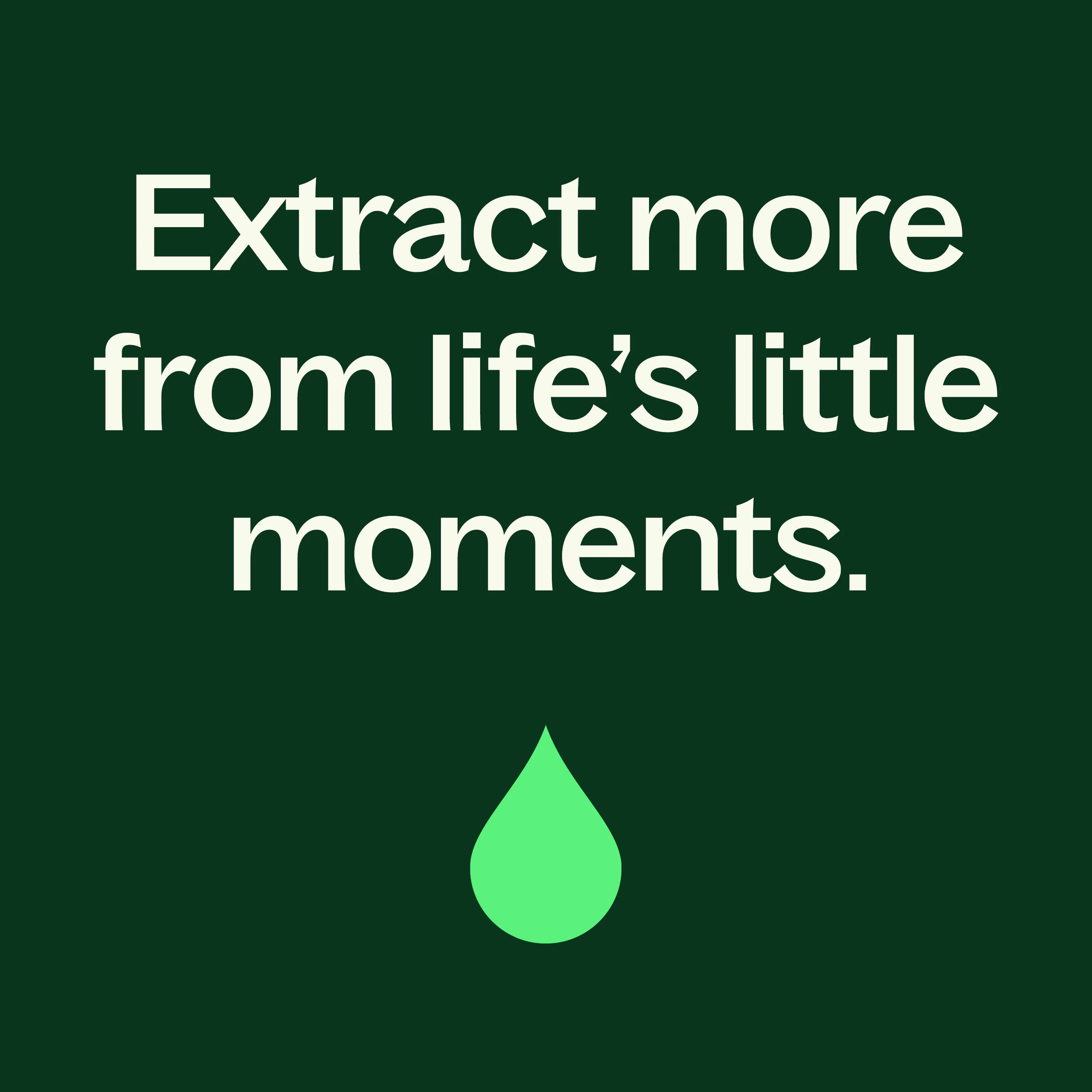 Western U.S. Peppermint Essential Oil - Image 5